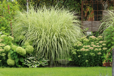 15 Essential September Garden Jobs To Tackle This Month
