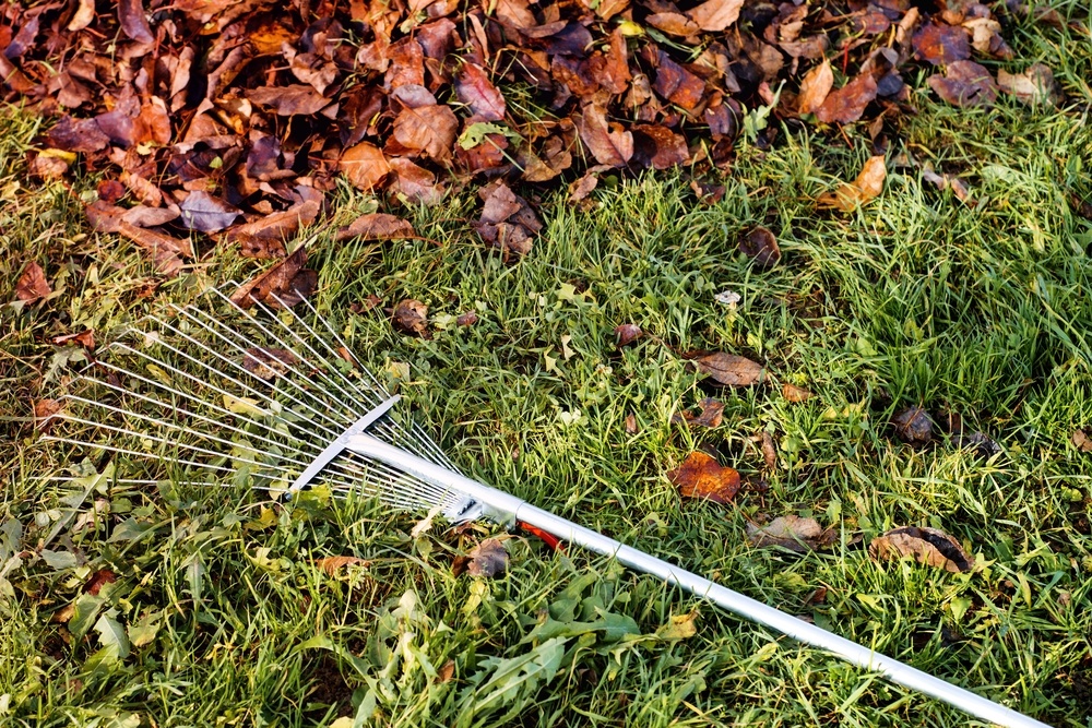 Autumn Lawn Care: Six Steps to a Healthier Lawn