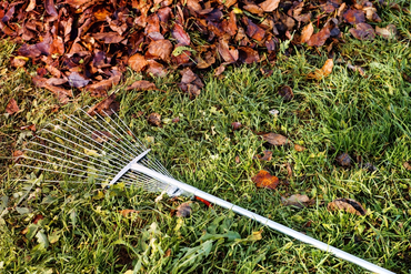 Autumn Lawn Care: Six Steps to a Healthier Lawn