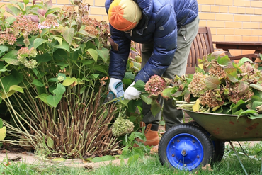 Get Your Garden Ready For Autumn