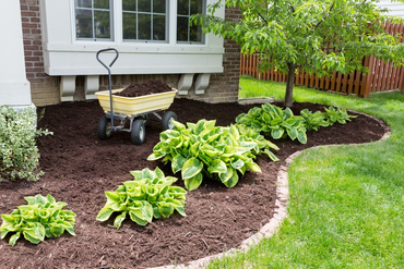 Why Mulching Works – And How to Do It