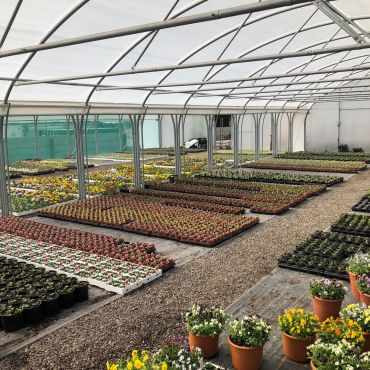 Our Own Grown Bedding