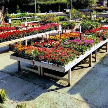 Boxed Summer Bedding Deals